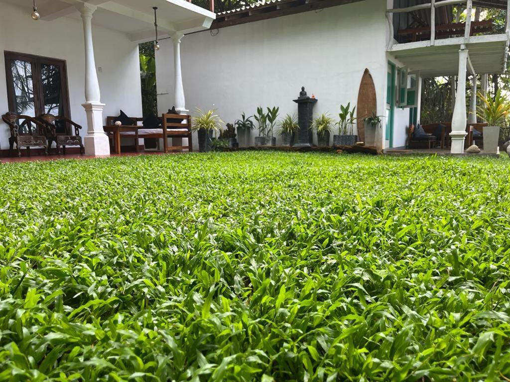 Beach House Kalukatiya - Family Villa, Seaview Room, Garden Room Dikwella Luaran gambar