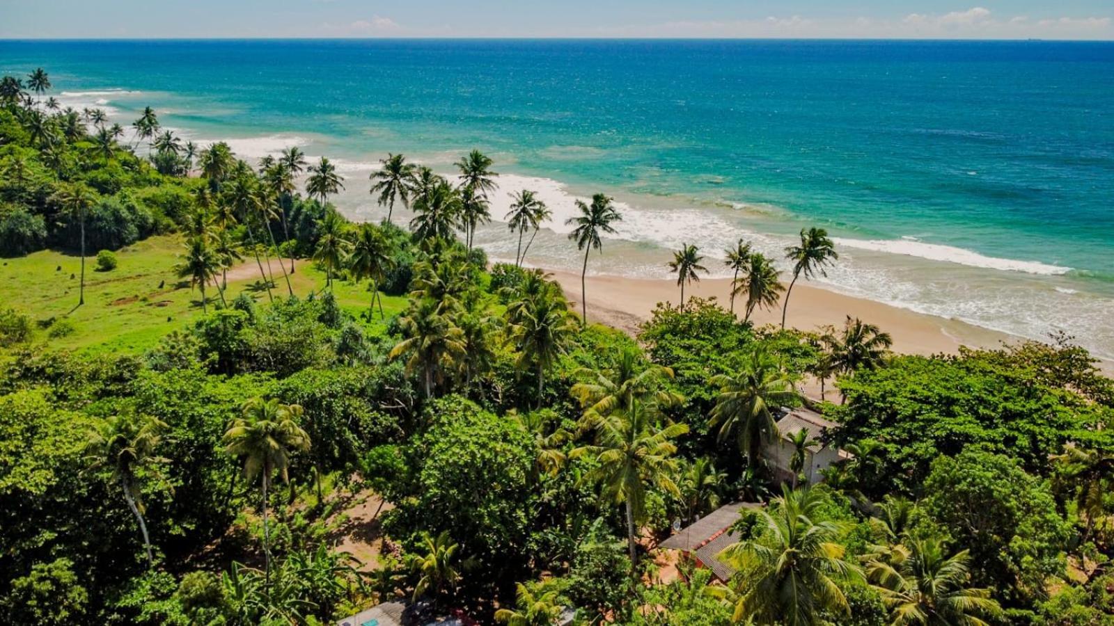 Beach House Kalukatiya - Family Villa, Seaview Room, Garden Room Dikwella Luaran gambar