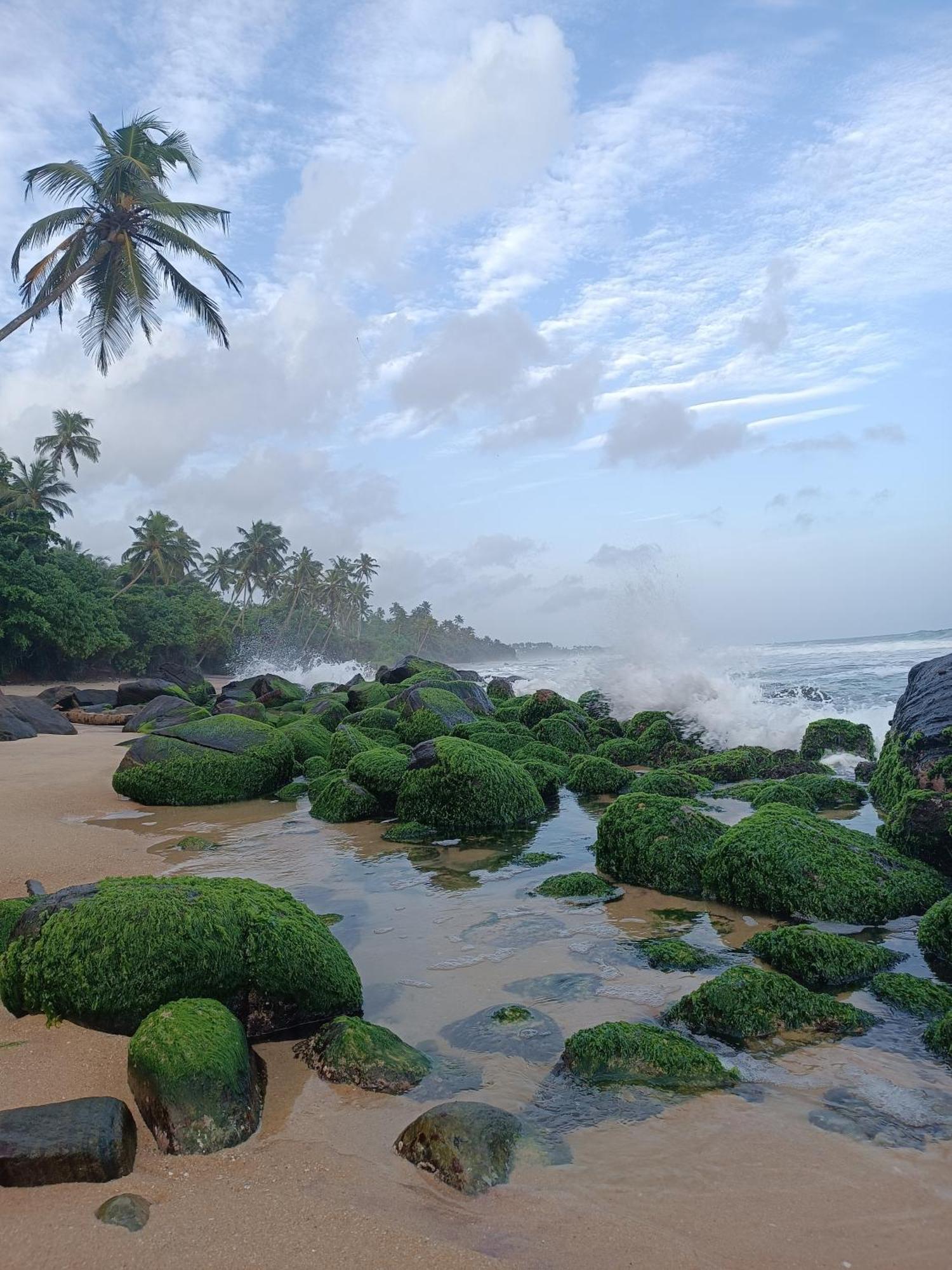 Beach House Kalukatiya - Family Villa, Seaview Room, Garden Room Dikwella Luaran gambar